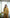 Fish Faced Mustard Yellow Co-ord Set