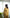 Fish Faced Mustard Yellow Co-ord Set