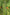 Eighth Sense Emerald Green  Top